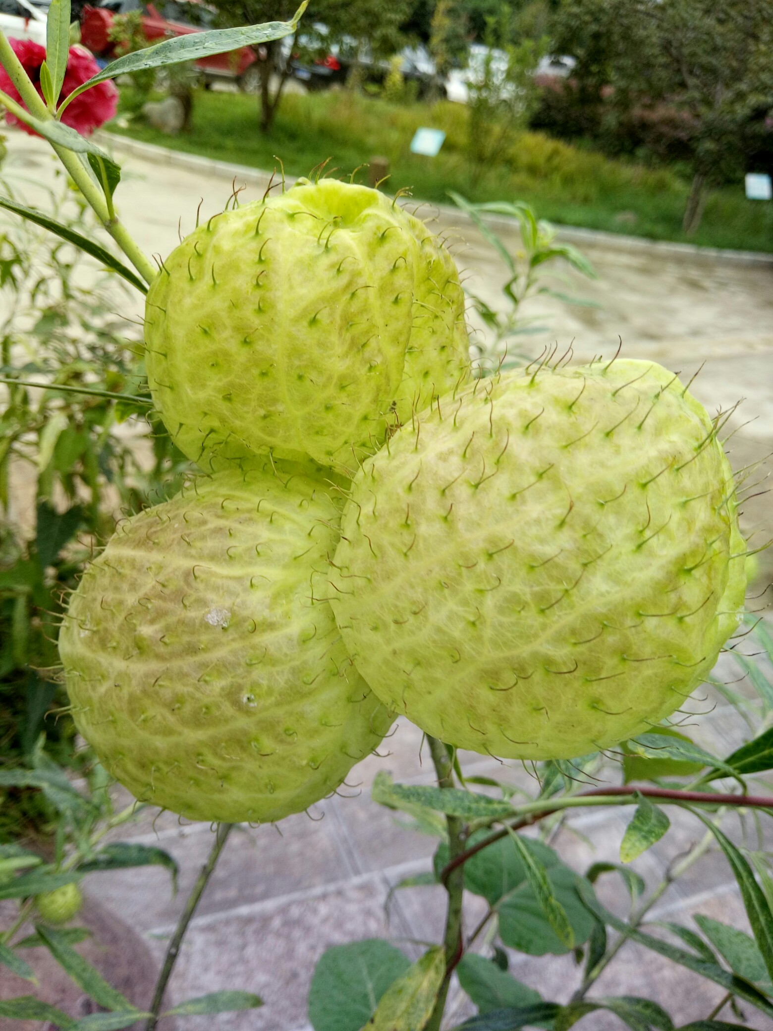 九游体育app-涆骼?d螤迩?羿??焳~M?q?a朔??